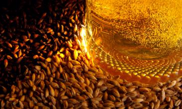 Cerveza México, una ventana para el conocimiento