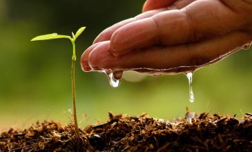 Reporte de Sostenibilidad de HEINEKEN: logros en agua, CO2 y más