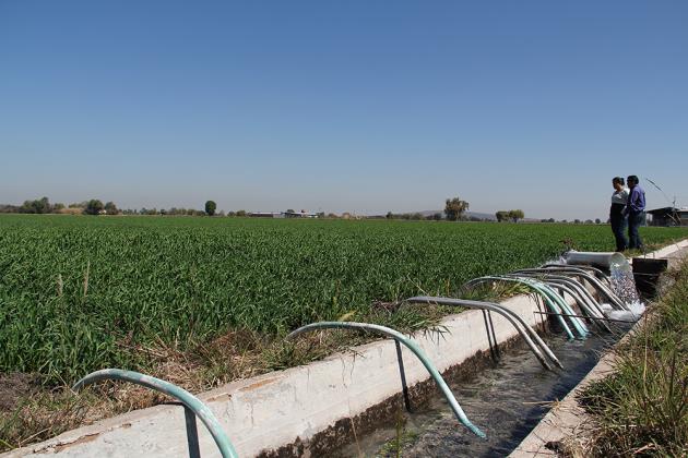 Comienza el año con un consumo sustentable de agua