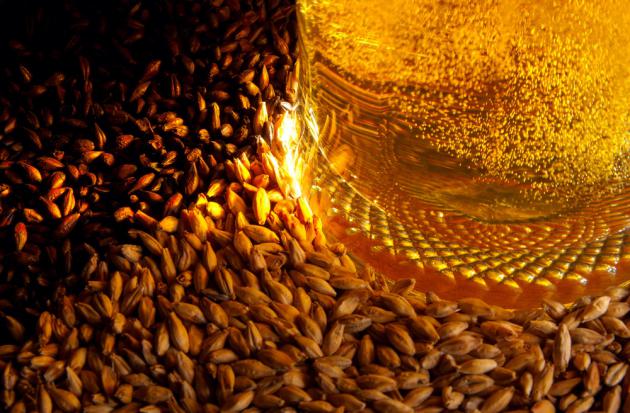 Cerveza México, una ventana para el conocimiento