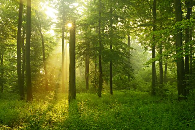 ¡Lo logramos! Disminuimos más de 8% de emisiones de CO2