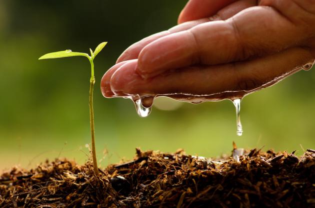Reporte de Sostenibilidad de HEINEKEN: logros en agua, CO2 y más